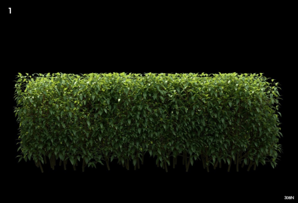 Hedge nd