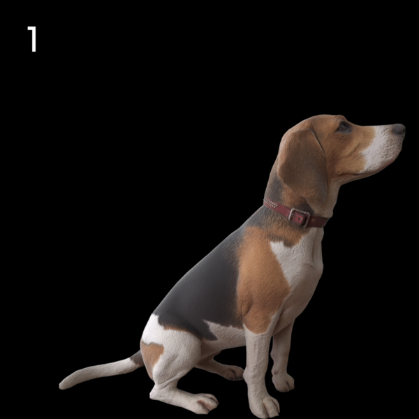 1)Dog 4