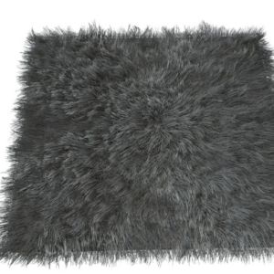 carpet 2021