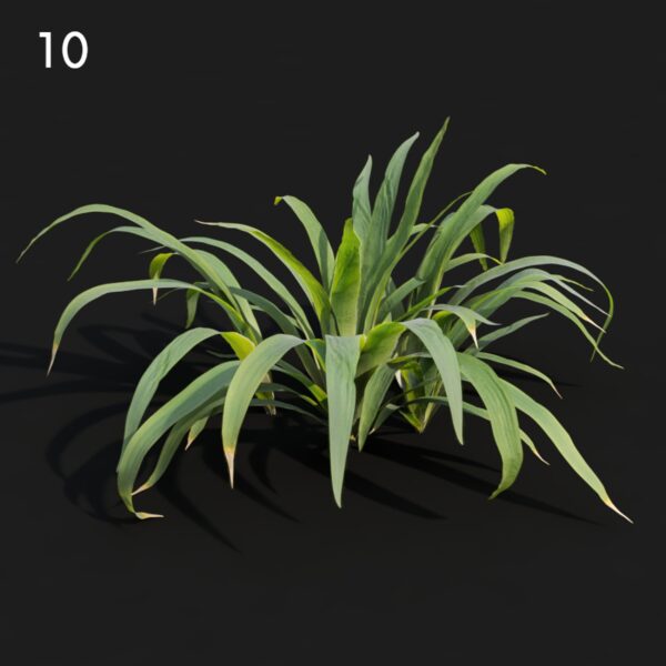 10MTV82 Iris01