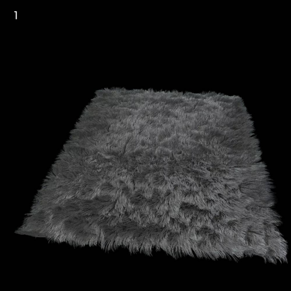 1)carpet2020