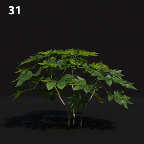 31_MT_V61_Fat_jap_01_01