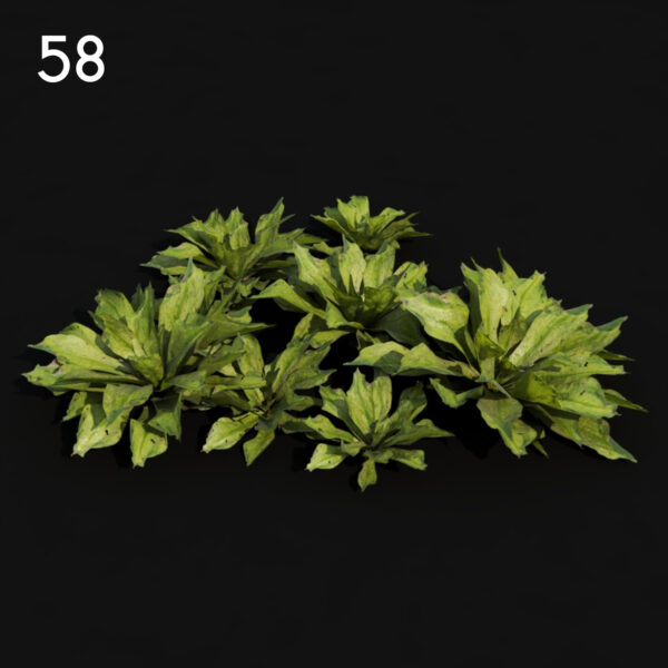 58)MT_V82_Rhodo_01_04
