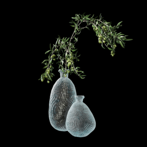 85Olive branch in vase