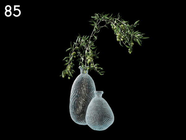 85Olive branch in vase