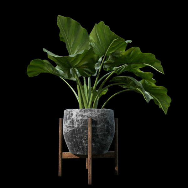 vase Plane9549