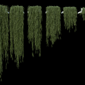 plant_2280mm FULL