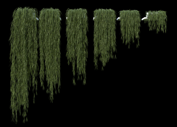 plant_2280mm FULL