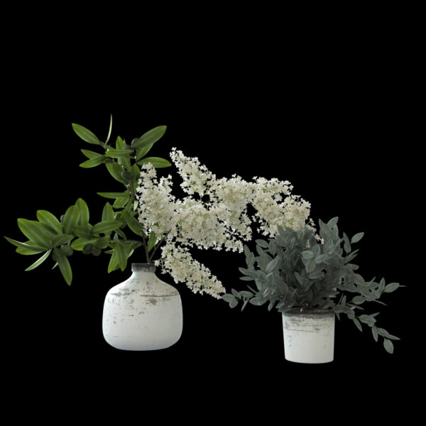 vase 23dbn