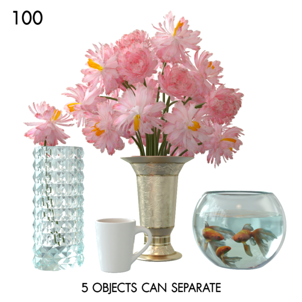 100)Flowersetaquarium