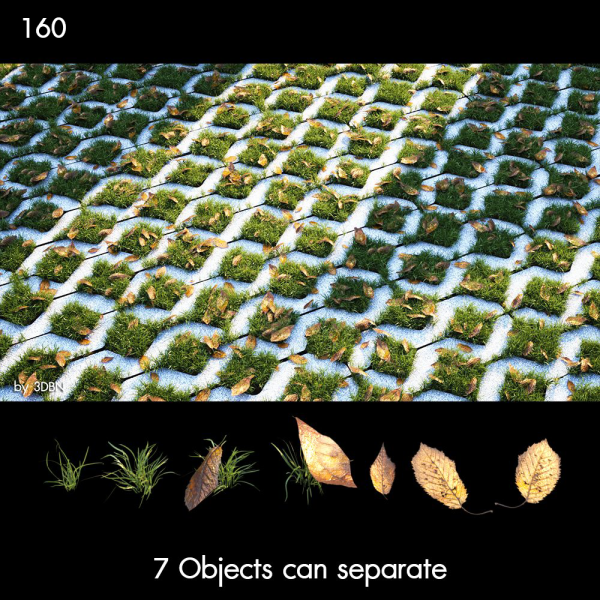 160)Dry_leaves