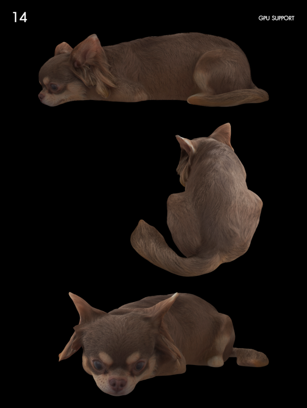 14)Dog_laying