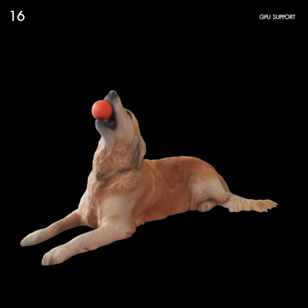 16)dog_gr002