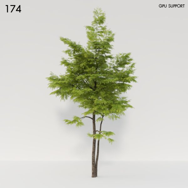174)Ash tree_10_3D Model