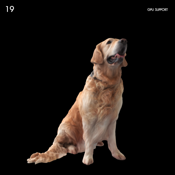 19)dogGR_007