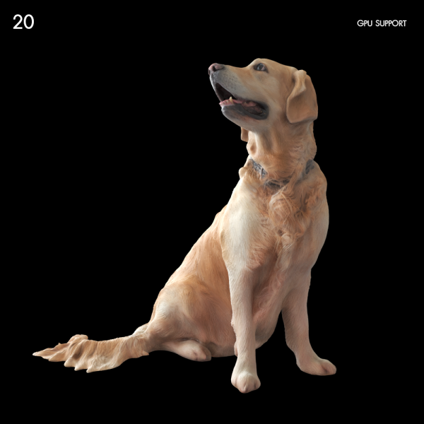 20)dogGR_mesh0121