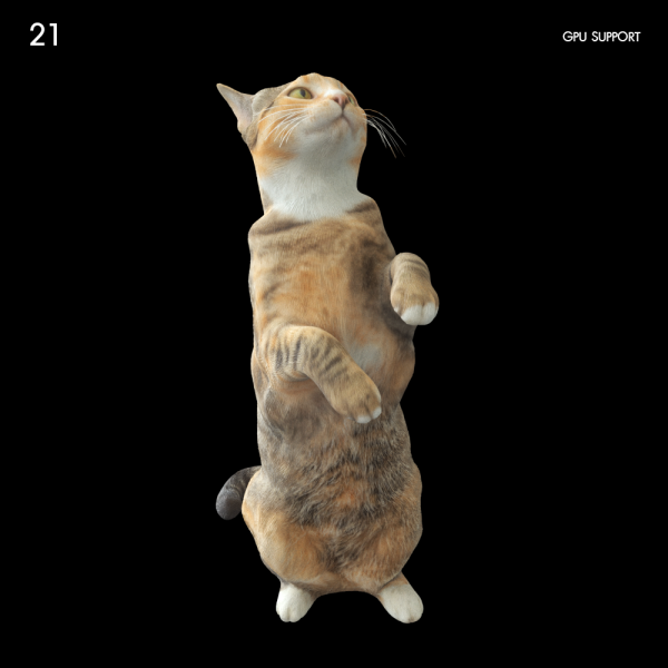 21)catmax_002