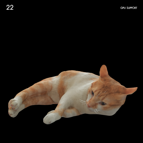 22)cat_mesh0112