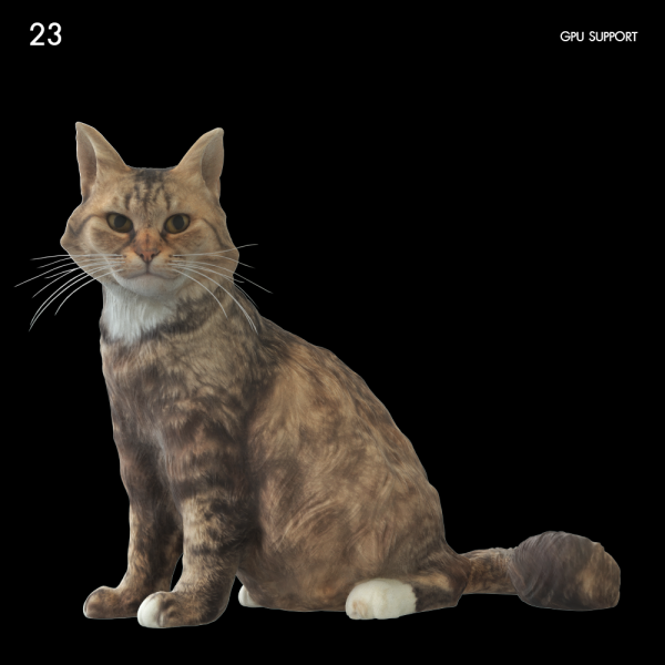 23)cat_mesh0121