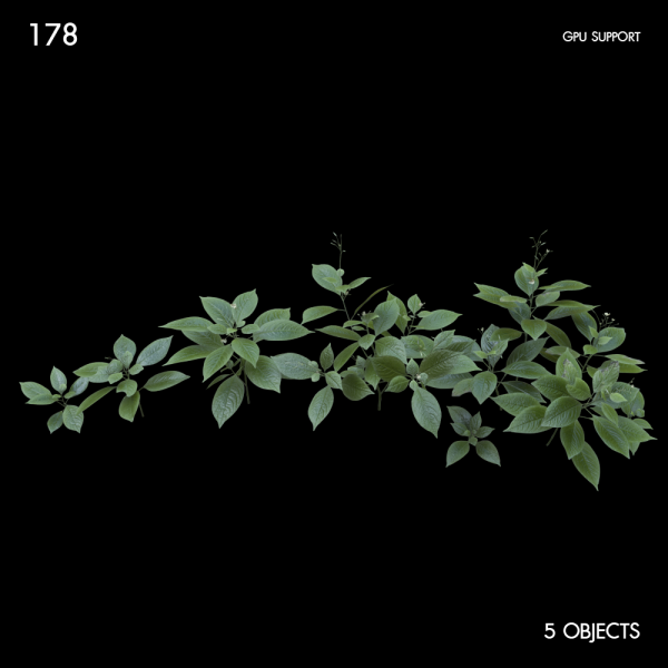 178)small_balsam_set