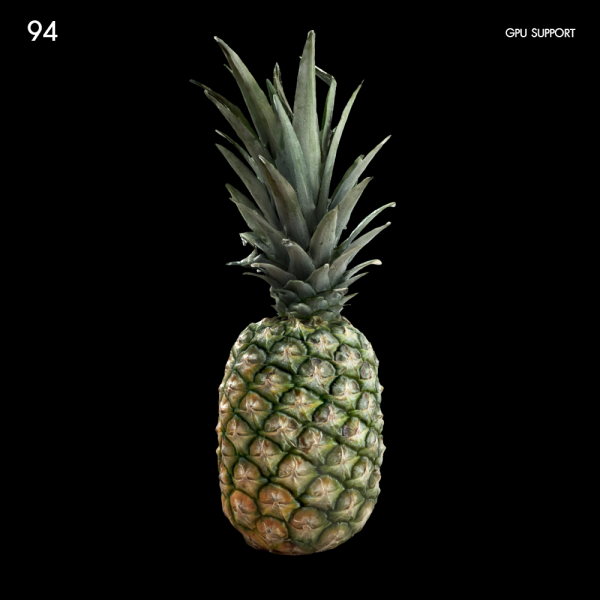 94)Pineapple_real3dbn