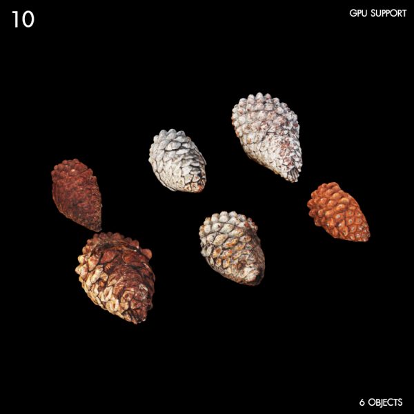 10)small_pine_cones