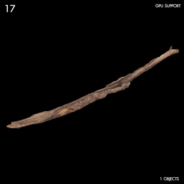 17)tree_debris 05