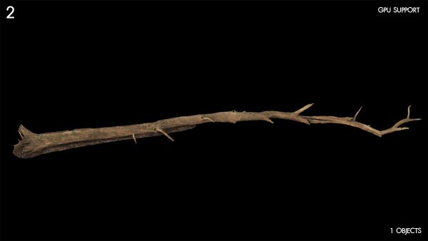 2)large_fallen_tree