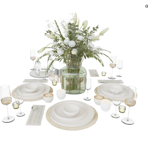 35TablewareSet037