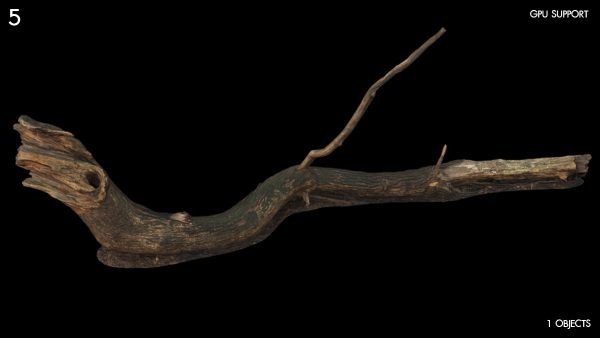 5)large_fallen_tree 04