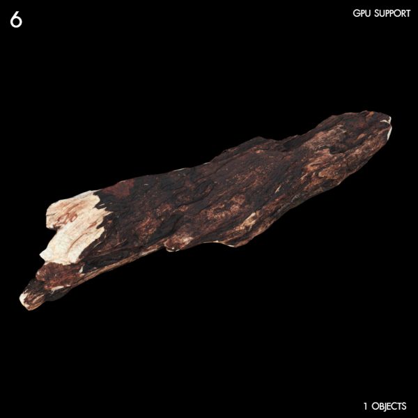 6)Mossy_Bark