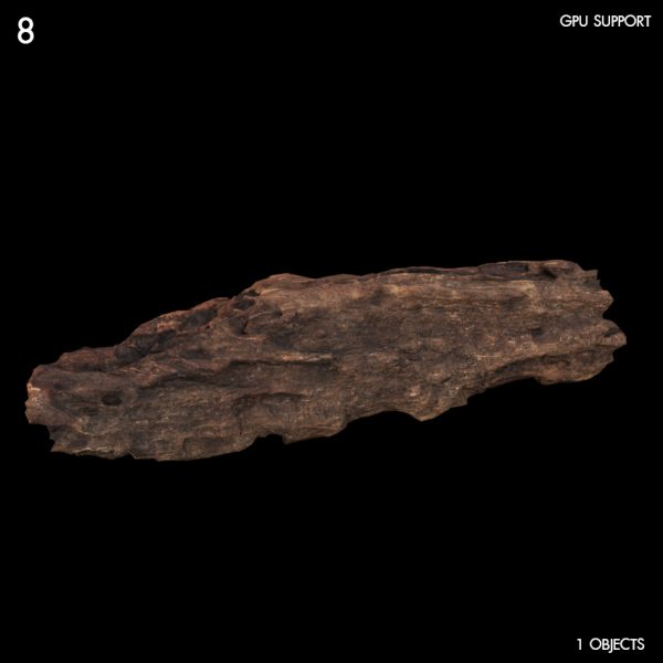 8)rotten_log 01