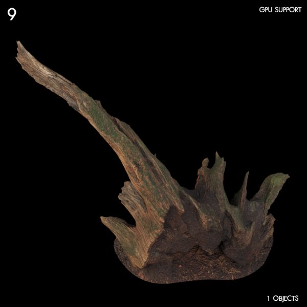 9)rotten_tree 02